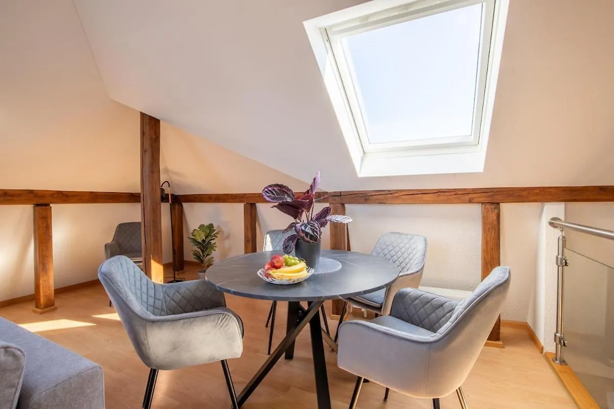 Special Roger F Rabbit 4 Apartment, Roche Towers, 10-Star バーゼル アパート