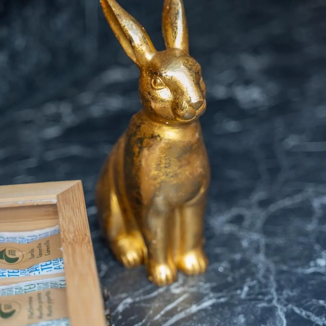 Special Roger F Rabbit 4 Apartment, Roche Towers, 10-Star バーゼル