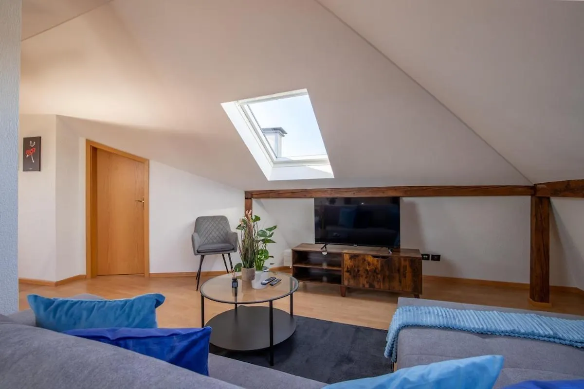 Special Roger F Rabbit 4 Apartment, Roche Towers, 10-Star バーゼル