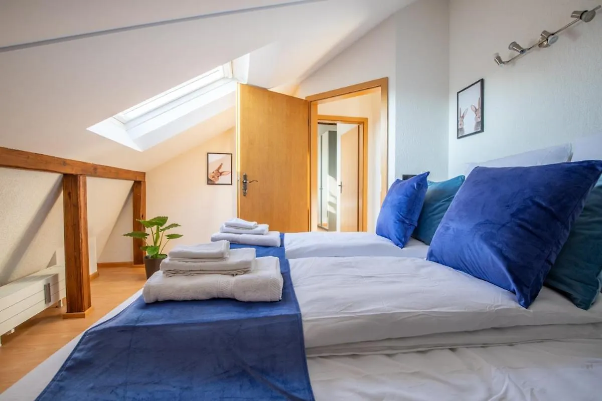 Special Roger F Rabbit 4 Apartment, Roche Towers, 10-Star バーゼル アパート