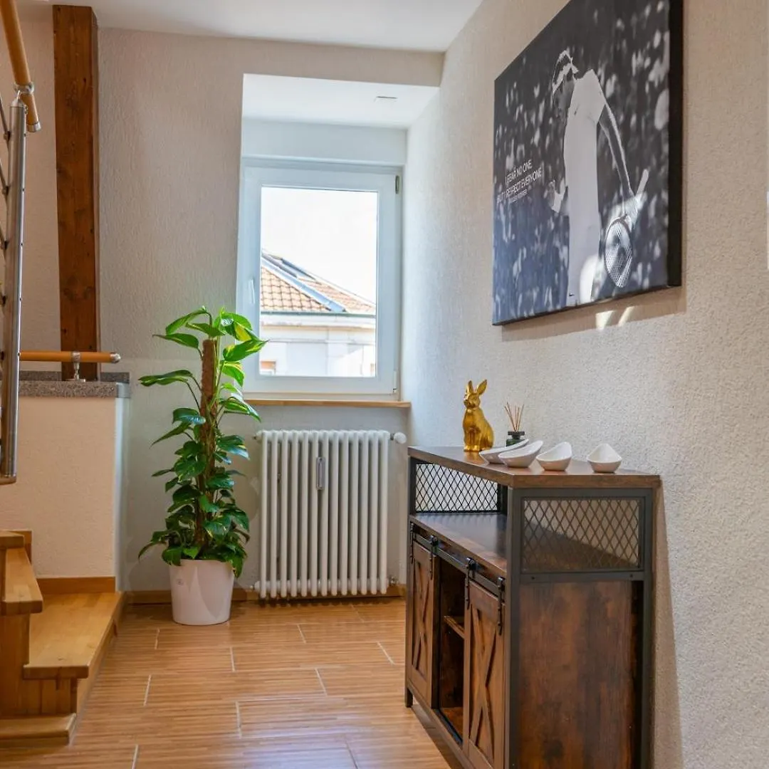 Special Roger F Rabbit 4 Apartment, Roche Towers, 10-Star Basel