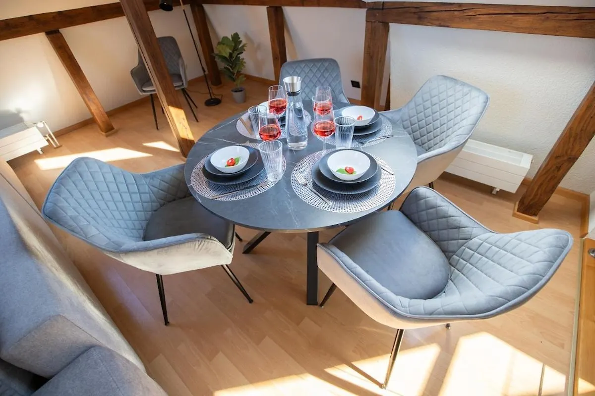 Special Roger F Rabbit 4 Apartment, Roche Towers, 10-Star Basel Schweiz
