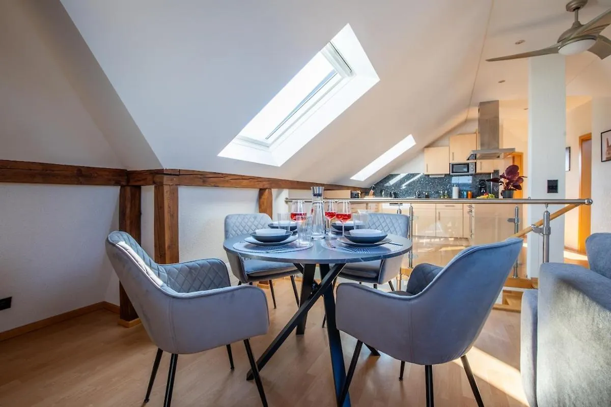 Special Roger F Rabbit 4 Apartment, Roche Towers, 10-Star Basel 0*,